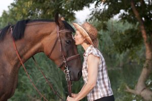 The Right Therapeutic Items for Dogs and Horses