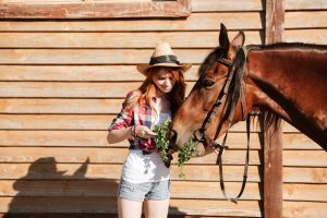 Therapeutic Care for Horses and Dogs