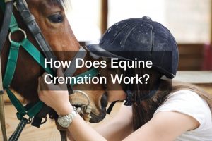 How Does Equine Cremation Work?