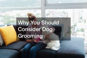 Why You Should Consider Dog Grooming