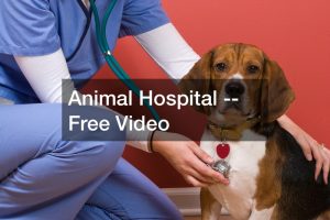 Parma animal hospital —- FREE VIDEO
