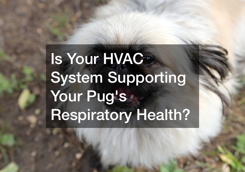 Your HVAC system and your pug's respiratory health