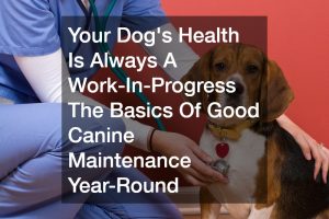 Your Dog’s Health Is Always A Work-In-Progress  The Basics Of Good Canine Maintenance Year-Round